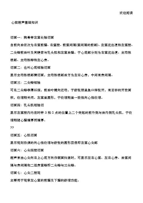心脏超声基础知识