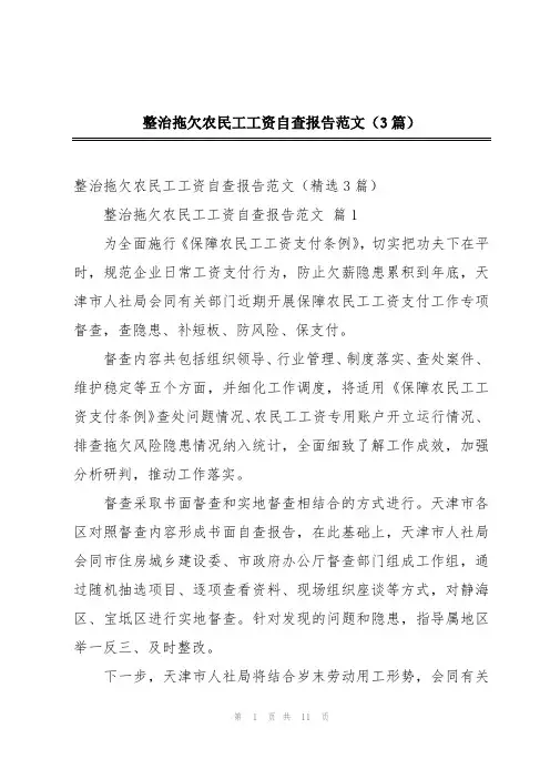 整治拖欠农民工工资自查报告范文(3篇)