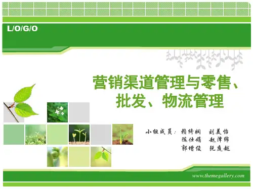 娃哈哈营销渠道管理