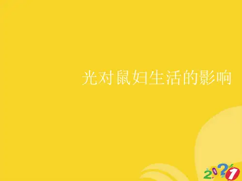 光对鼠妇生活的影响专业资料