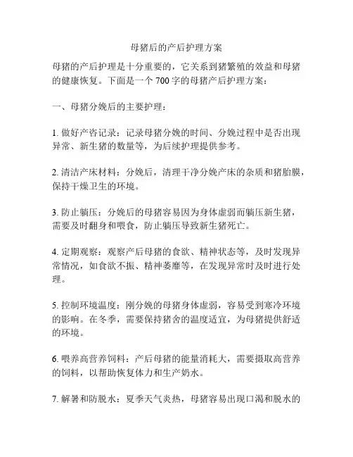 母猪后的产后护理方案