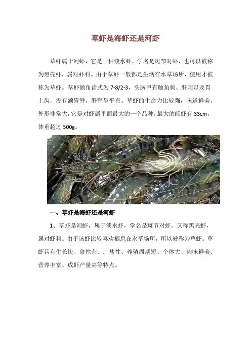 草虾是海虾还是河虾