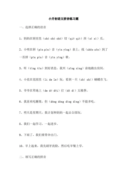 小升初语文拼音练习题