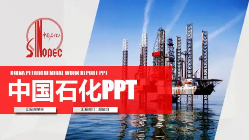 中石化石油能源工作汇报PPT
