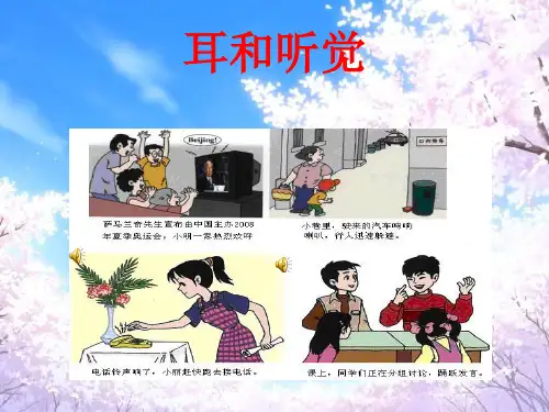 关于耳朵PPT课件