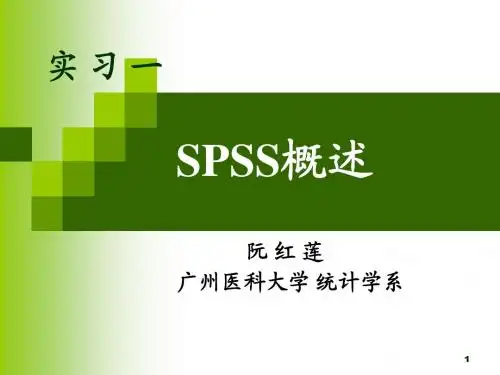 SPSS概述