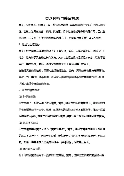 灵芝种植与养殖方法