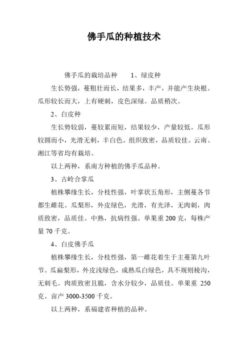 佛手瓜的种植技术