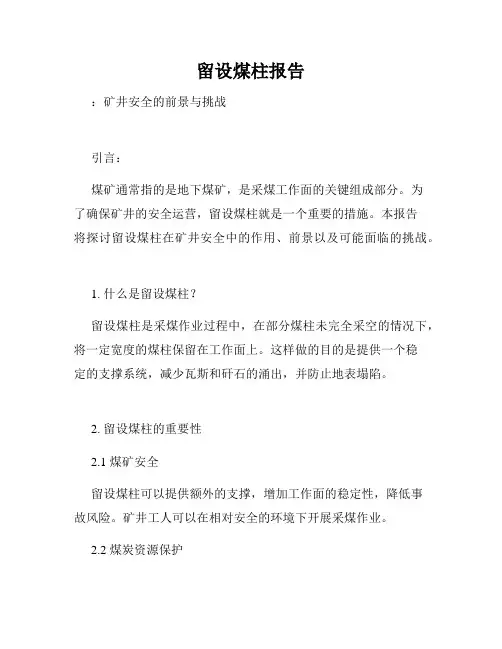 留设煤柱报告