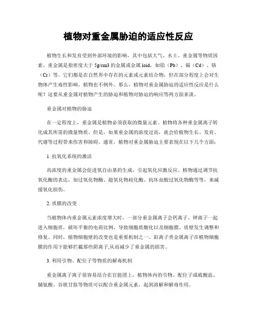 植物对重金属胁迫的适应性反应