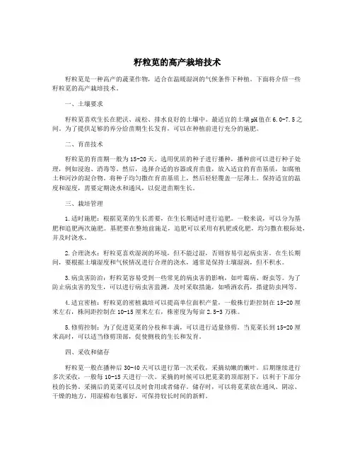 籽粒苋的高产栽培技术