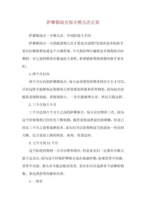 萨摩耶幼犬每天喂几次正常
