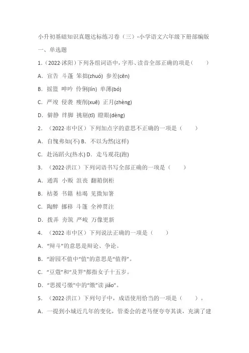语文小升初基础知识真题达标练习卷(三)(含答案)