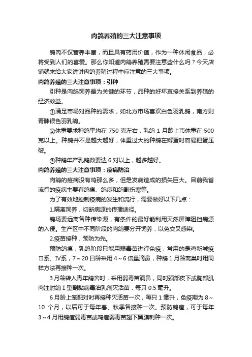 肉鸽养殖的三大注意事项
