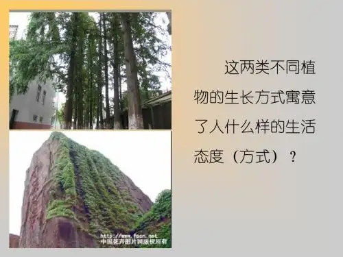 1.2.2《 积极的生活态度 保持乐观的心态》课件 (苏教版八年级上) (11)
