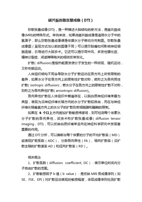 磁共振弥散张量成像（DTI）