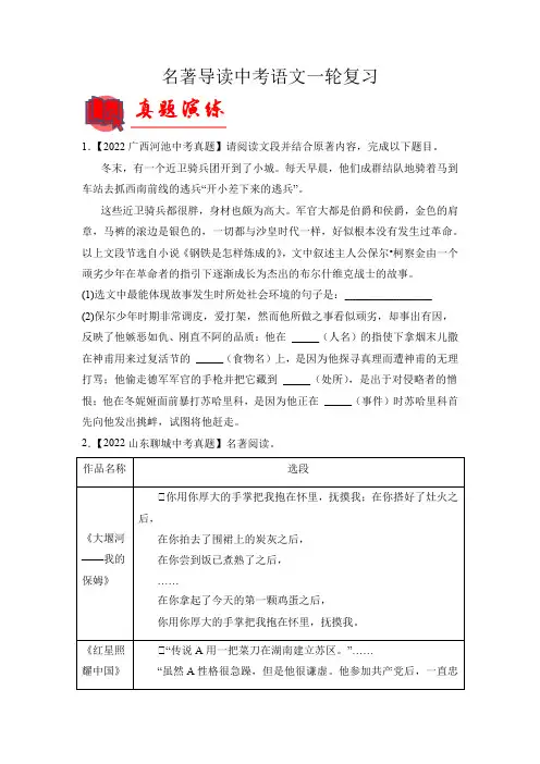 中考语文专题6名著导读(原卷版)