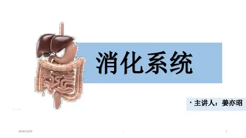 消化系统 - 胃炎-消化性溃疡PPT课件