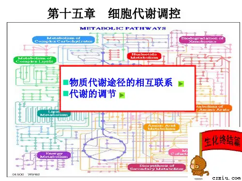 生物化学王镜岩第三版