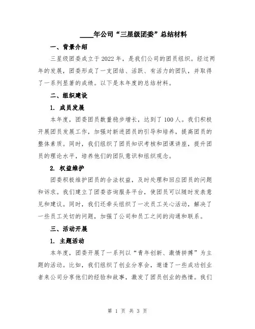 2024年公司“三星级团委”总结材料
