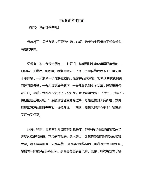 与小狗的作文