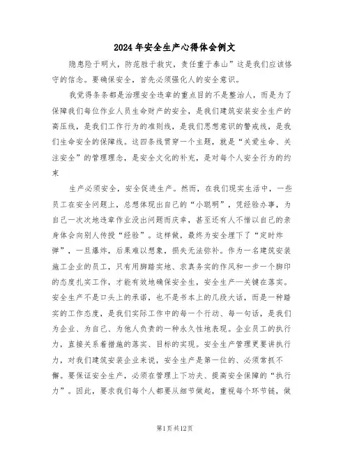 2024年安全生产心得体会例文(六篇)