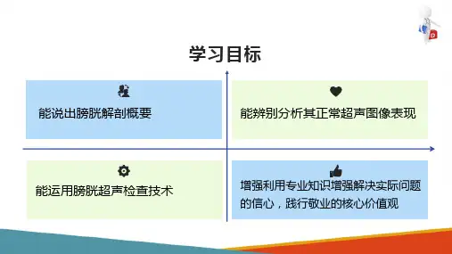 膀胱超声探测技术 膀胱探测方法及正常声像图表现