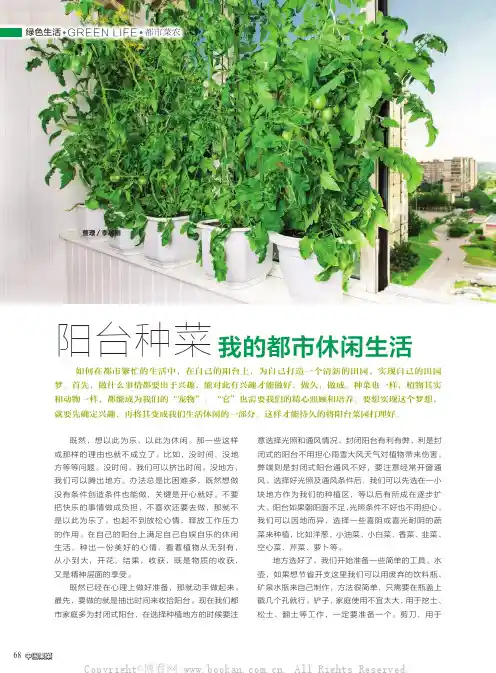 阳台种菜 我的都市休闲生活