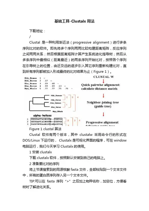 基础工具-Clustalx用法