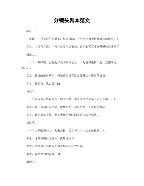 分镜头剧本范文