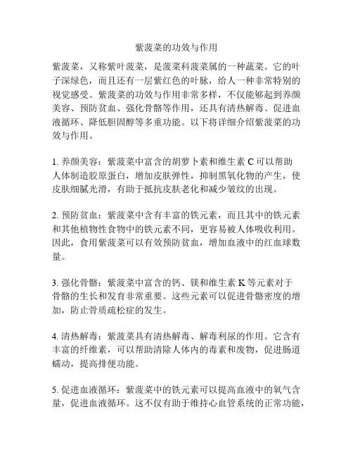 紫菠菜的功效与作用
