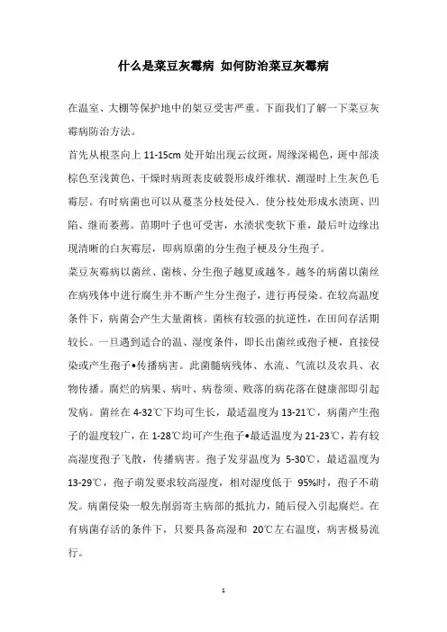 什么是菜豆灰霉病 如何防治菜豆灰霉病