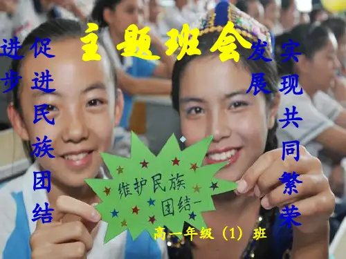 “促进民族团结进步,实现共同繁荣发展”主题班会[PPT课件]