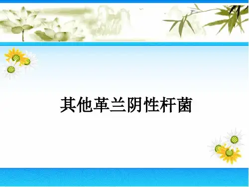 其他革兰阴性杆菌本科-精品医学课件