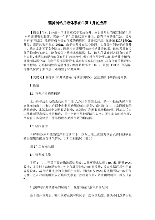 强抑制钻井液体系在牛页1井的应用