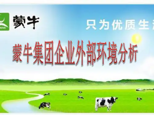 蒙牛集团分析