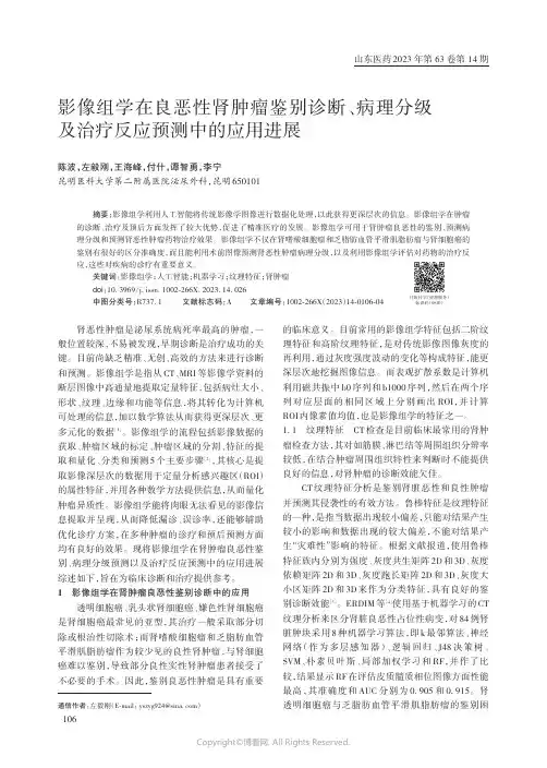 影像组学在良恶性肾肿瘤鉴别诊断、病理分级及治疗反应预测中的应用进展
