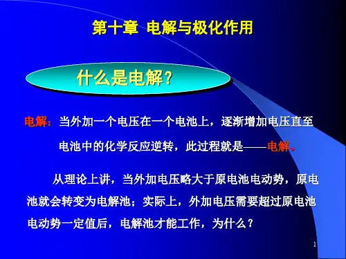 第10章电解与极化作用