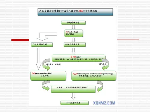 ABS困难气道流程