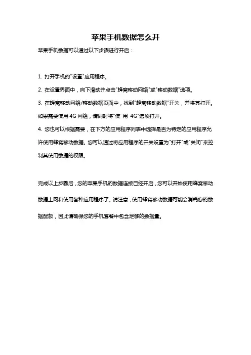 苹果手机数据怎么开