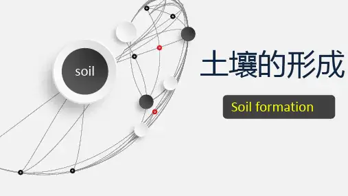 湘教版高考地理复习土壤的形成(共24张PPT)