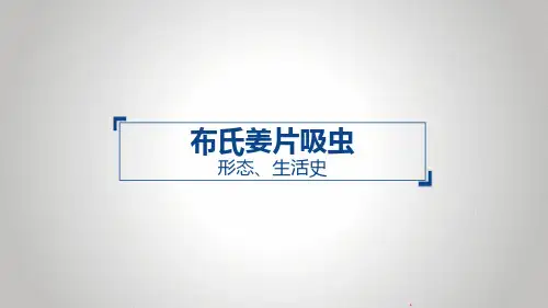 布氏姜片吸虫(一)改