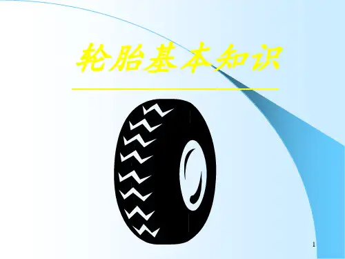 《米其林轮胎知识》PPT课件
