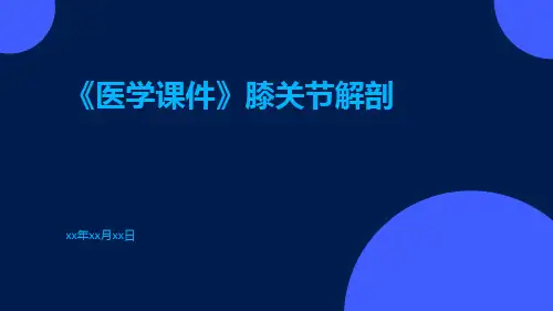 (医学课件)膝关节解剖