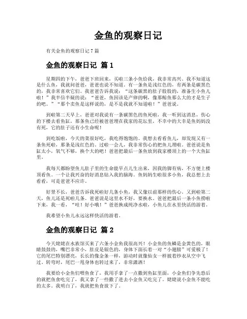 金鱼的观察日记
