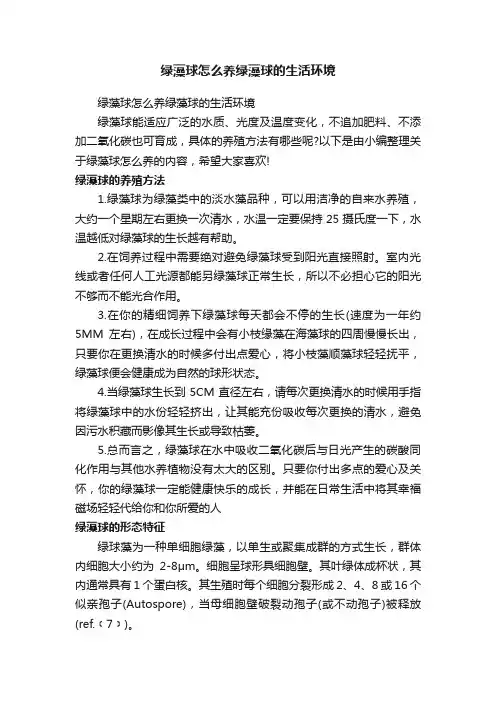 绿藻球怎么养绿藻球的生活环境