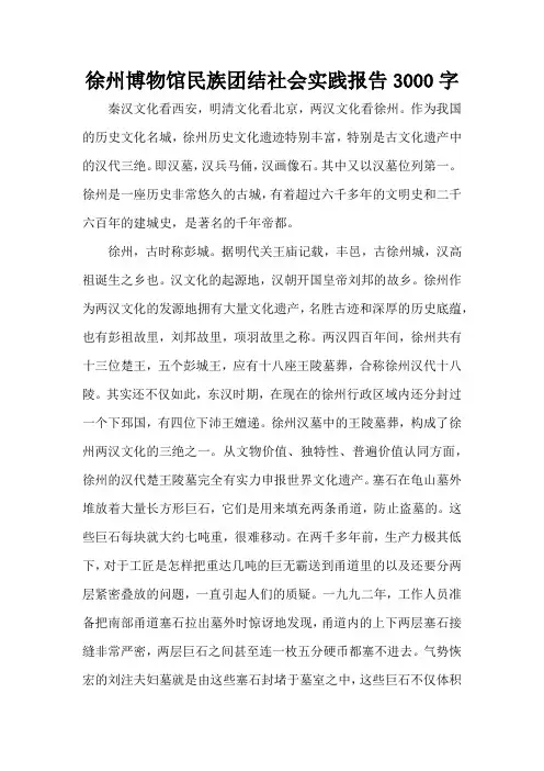 徐州博物馆民族团结社会实践报告3000字
