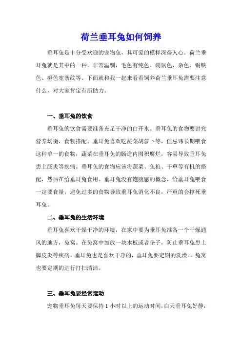 荷兰垂耳兔如何饲养