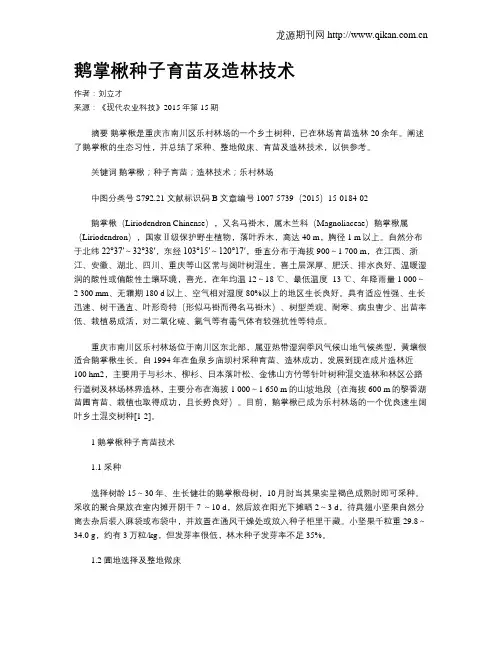 鹅掌楸种子育苗及造林技术