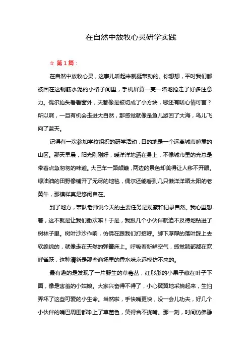 在自然中放牧心灵研学实践